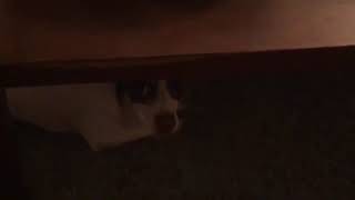 Mr Bubz - Ultimate Cobra Attac 80000!