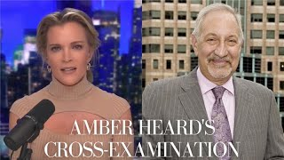 Amber Heard Cross-Examined on the Stand, and the Story of the Bed Poop, with Mark Geragos