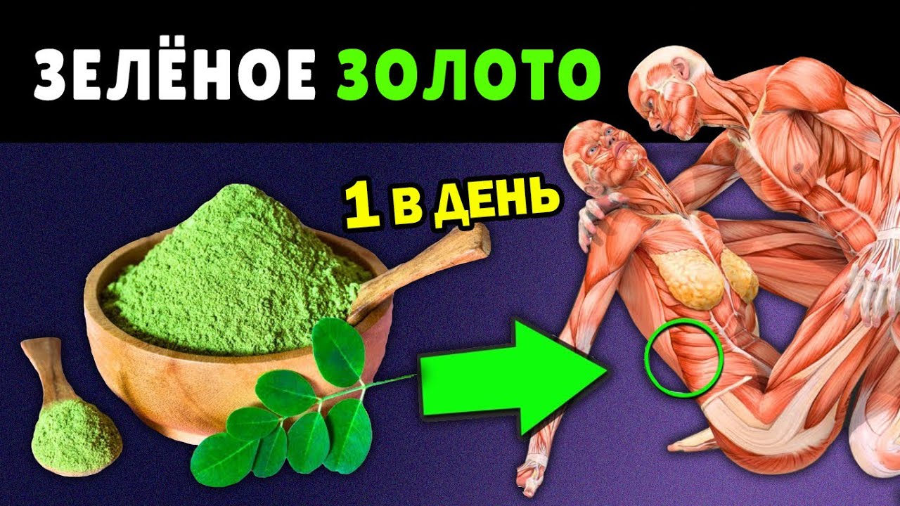 Самое ОЧИЩАЮЩЕЕ РАСТЕНИЕ на Земле: ОЧИЩАЕТ ПЕЧЕНЬ, КИШЕЧНИК и МОЗГ (Как его принимать)