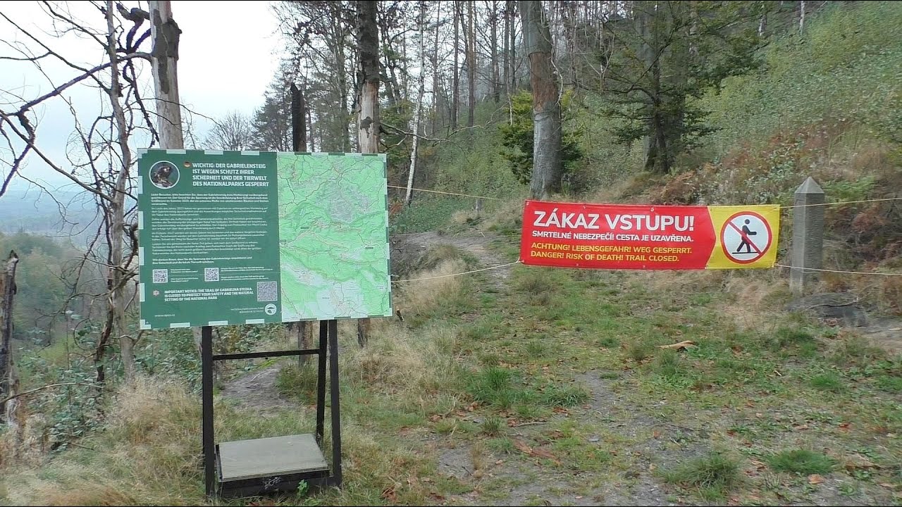 Der gesperrte Gabrielensteig 2024 / Zustand des Weges nach dem Waldbrand 2022/ Böhmische Schweiz