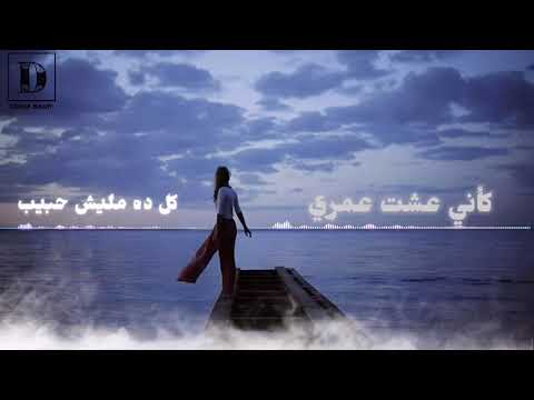 كفايه حلول وسط محمد حماقي