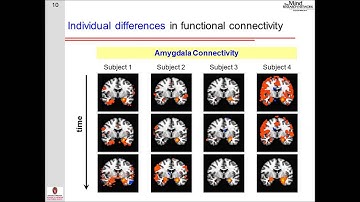 Rasmus Birn Ph.D. - Mind Research Network lecture