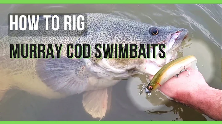 How to rig Swimbaits for Murray Cod - Irukandji Swimbait Rigging for Sicario & Bloodhawk lures