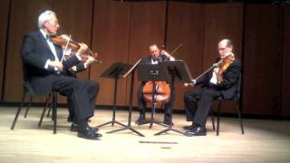 Video thumbnail of "Guarneri Quartet - Beethoven String Quartet no. 13, Op. 130 - V. Cavatina, Adagio molto espressivo"