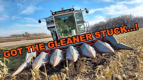 Allis Chalmers Show: 2023 Corn Harvest With The Gleaner M2