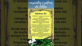 Poderoso Salmo 23orao tiktok shorts