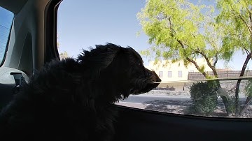 MEWT KEYS - Early Morning  [UNOFFICIAL MUSIC VIDEO]