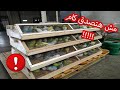 ارباح خرافية من طيور الزينة بالارقام و المربي هو المظلوم