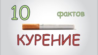 Факты о курении // 10 фактов о сигаретах, который должен знать каждый