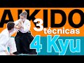 3 tcnicas de 4 kyu de aikido