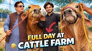 Full Day At Cattle Farm-Extremely Big Animals Ever-Bakra Eid 2026-Bakra Mandi 2026 