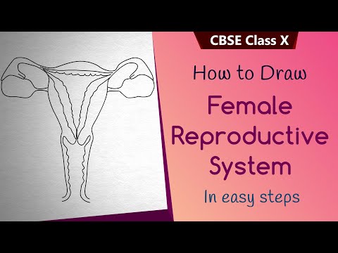 How to draw