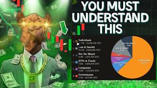 This Bitcoin Pie Chart is Extremely Important