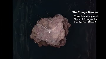 Introducing the PICASSO Plus System