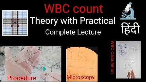 TLC || WBC count || Complete Lecture with Practical by neubaur Counting Chamber in Hindi & Urdu