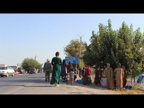 Таджикистан: чем живет женский мардикорбозор