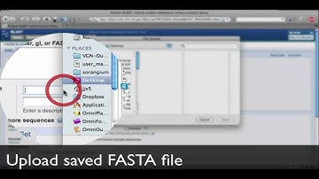 NCBI BLAST Tutorial - Part 2