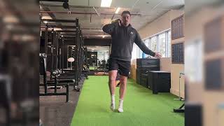 Ankle - Loaded Inverted Walks