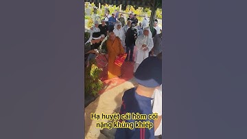Hạ huyệt hòm Đại cối đám tang cụ bà đại gia Dĩ An Bình Dương