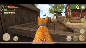 Cat Simulator 2020 #2