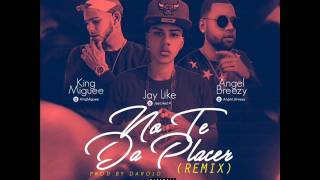 Yeilay , King Miguee & Angel Brezzy - No te da placer (remix)