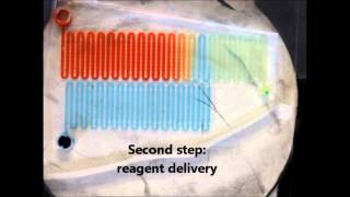 Acoustic Microfluidics - UC Irvine (A. Doria, N. Martin, and A. P. Lee)