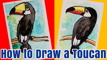How to Draw a Toucan Kids Watercolor Tutorial