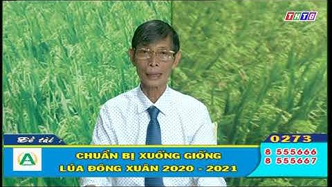 Chuẩn bị xuống giống lúa đông xuân _ " Bạn nhà nông " THTG - AN NÔNG
