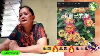 1/11/2023 WED (12PM - 3PM)