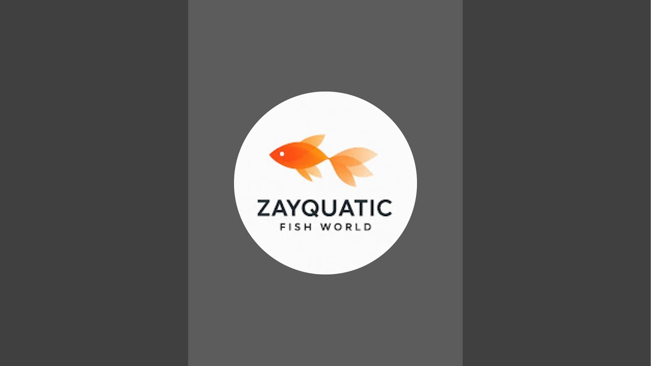 Zayquatic fish world is live 