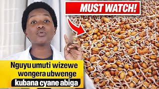 Umuti Wongera Ubwenge Ku Bana Cyane Abiga Brain Booster For Smart Kids