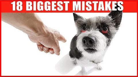 18 Common Mistakes Dog Owners Make - DayDayNews