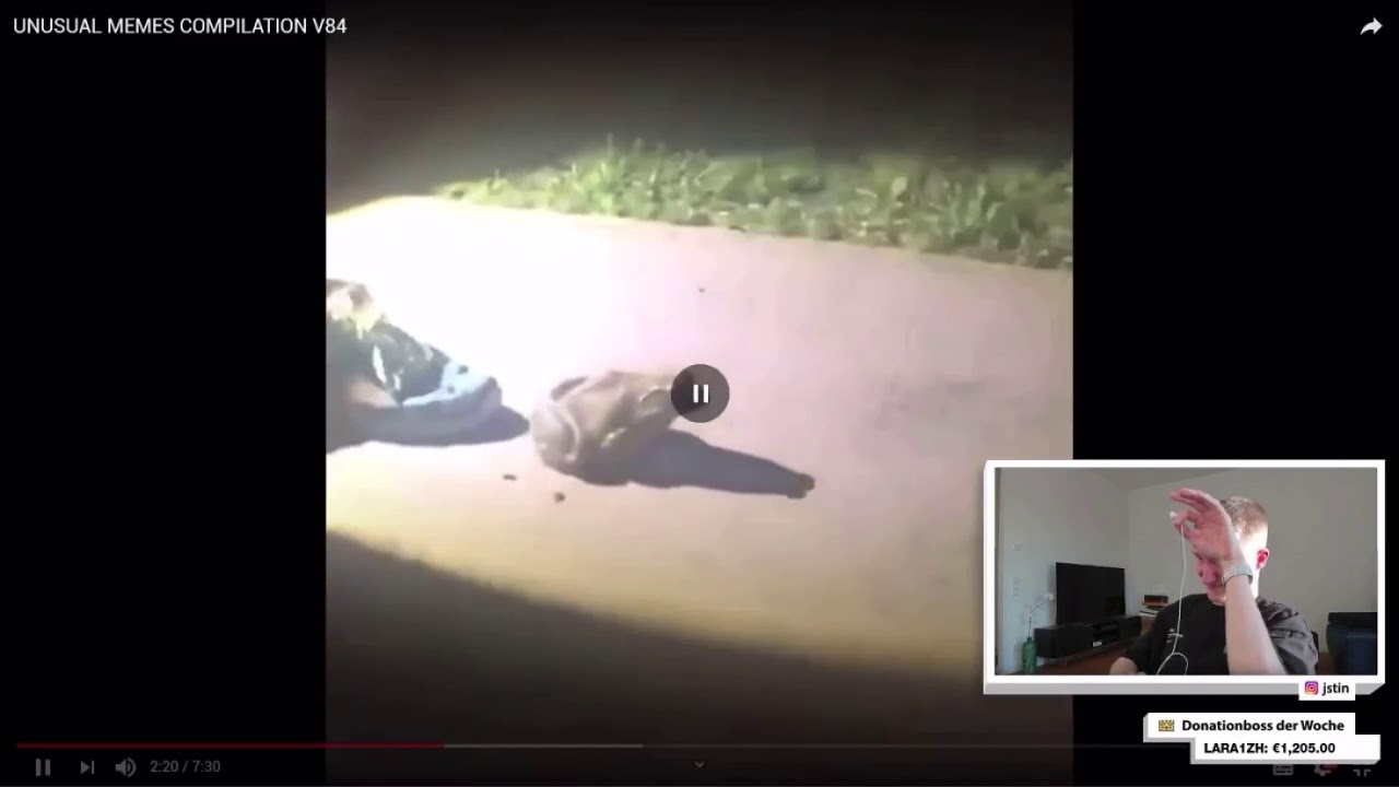 Justin erschreckt sich vor Frosch im Stream | JstinLIVE