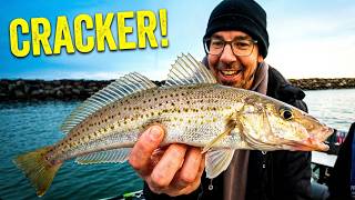 Forget Bait! Catch King George Whiting with Soft Plastics screenshot 2