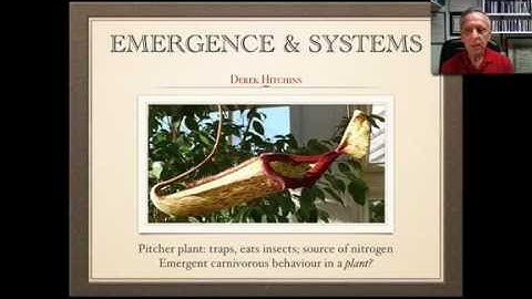 Systems & Systems Engineering—Emergence