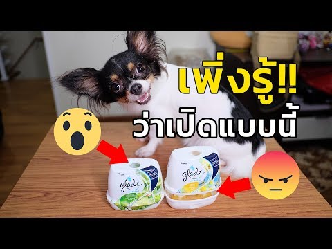 รีวิวน้ำหอม Glade เพิ่งรู้ว่าเปิดแบบนี้ก็ได้หรอ..?