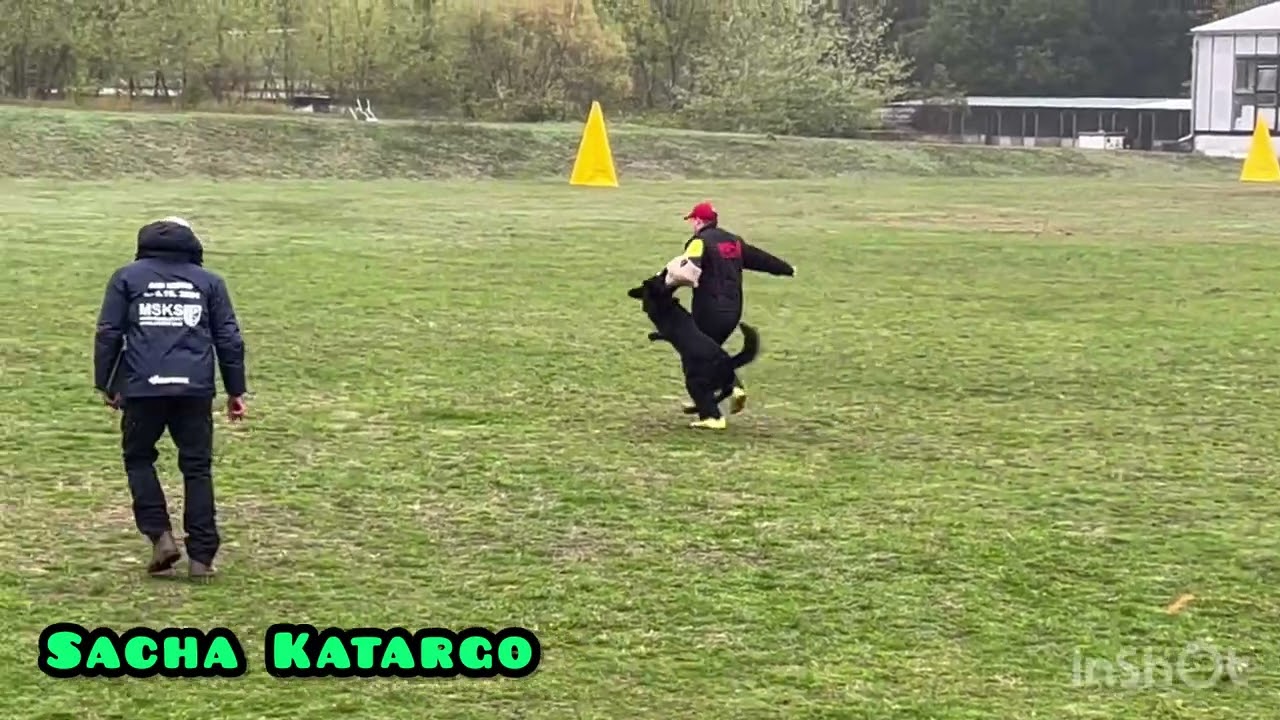 Sacha Katargo - MM MSKS 2024 IGP1 /  C98