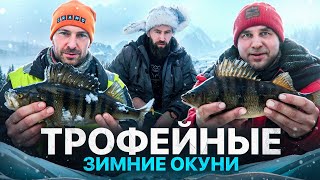 видео: В ТАЙГЕ НА ЗИМНЕЙ РЫБАЛКЕ. ПОПАЛИ НА СТАЮ ГОЛОДНЫХ, ТОЛСТЫХ ОКУНЕЙ. БЫТ В ИЗБЕ#рыбалка#fishing#окунь картинка: В ТАЙГЕ НА ЗИМНЕЙ РЫБАЛКЕ. ПОПАЛИ НА СТАЮ ГОЛОДНЫХ, ТОЛСТЫХ ОКУНЕЙ. БЫТ В ИЗБЕ#рыбалка#fishing#окунь