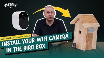 How to Install Your WiFi Camera in The Bird Box