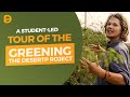 Permaculture in Action: A Student-Led Tour of the Greening the Desert Site