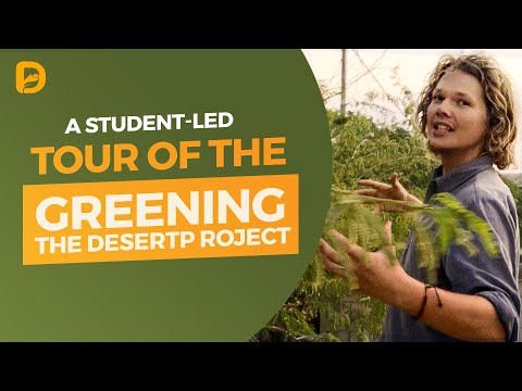 Permaculture in Action: A Student-Led Tour of the Greening the Desert Site