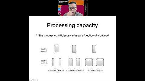 Applying system factorial technology to study attention and decision making processes