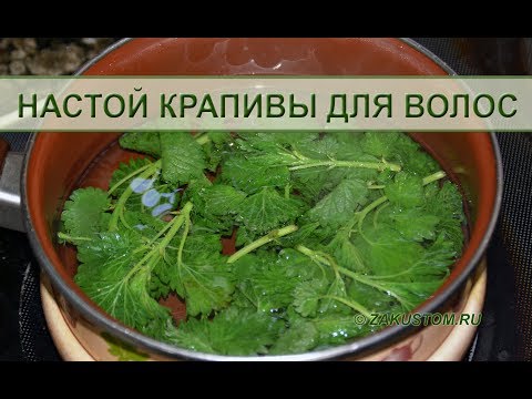 Крапива для здоровья и красоты волос - Nettles for health and beauty of hair