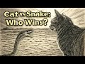 Why Cats Outsmart Snakes in a Fight! 🐍😼 | Cat Reflex vs Snake Attack | Animal Face-Off