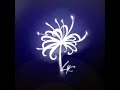 Lycoris, Best Volleyball 4.2 Script!