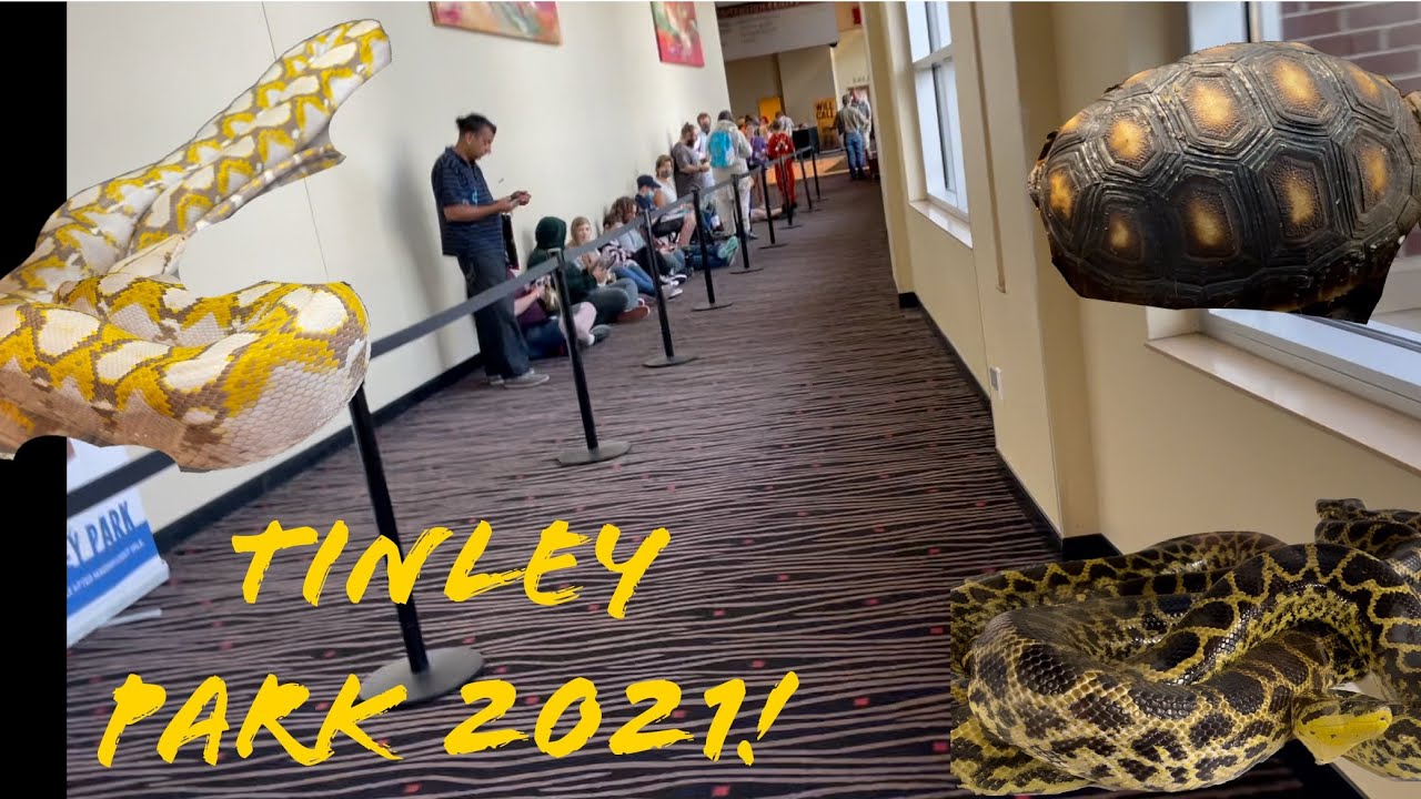 NARBC Tinley Park Reptile Show 2021!!! First Tinley in 2 years! YouTube