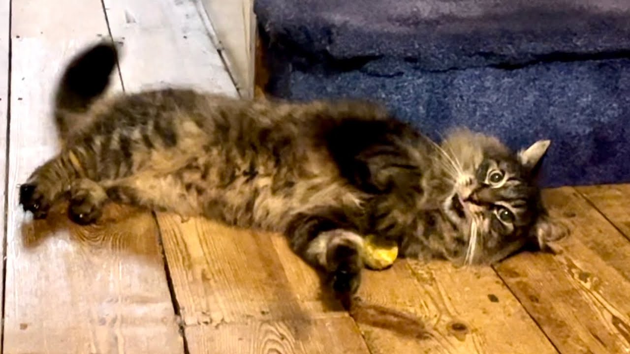 14-year-old Eric still loves to play!