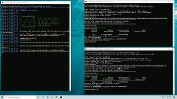 How to transfer Nerva coins using command line interface - Windows