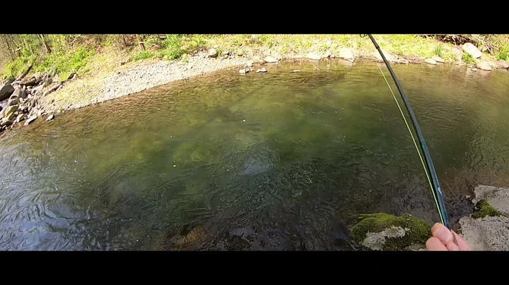 Conway River