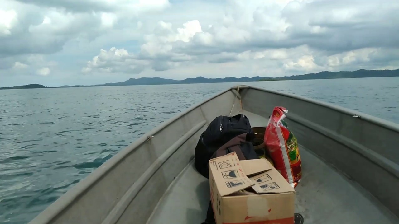 Kasi Ikan Santang makan II berat 2 Kilo 